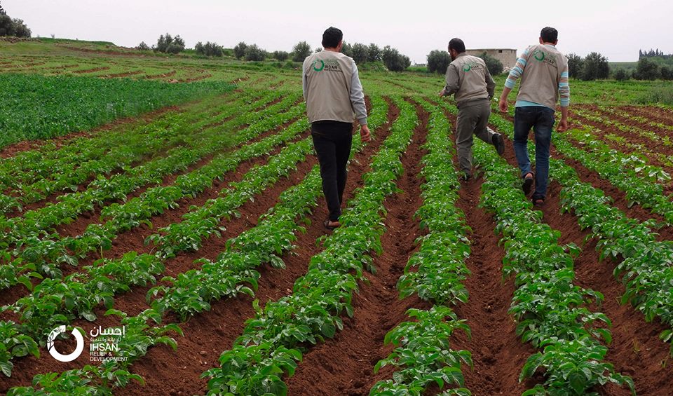 The Home Gardens’ Project of Ihsan’s project at rural ‪#‎Homs‬, Syria