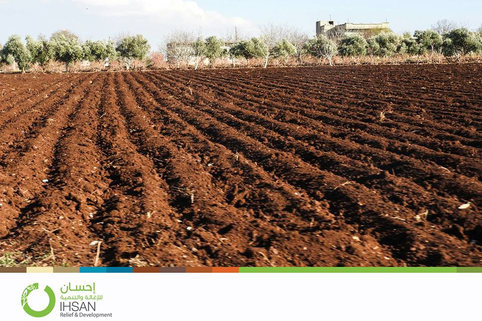 agricultural project executed by #Ihsan in the besieged areas north of #Homs – Syria.