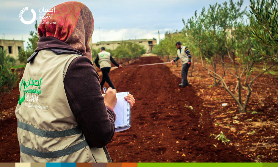 IhsanRD team finishes tillage and seed stage within “Intercropping” project in the northern Homs countryside.