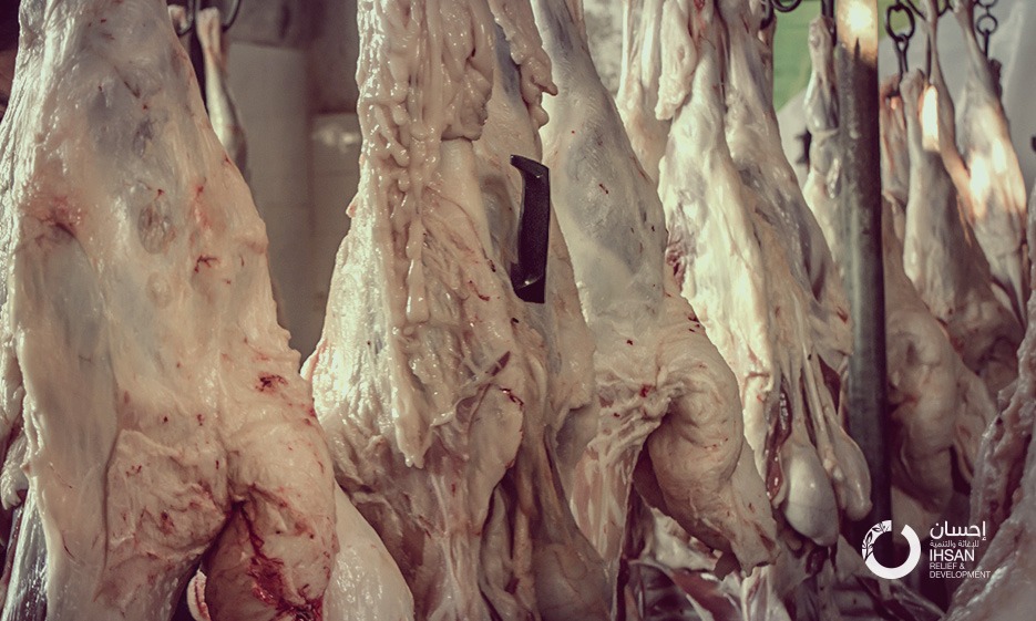 IhsanRD’s team has distributed 1350 shares of meat during Eid al-Adha
