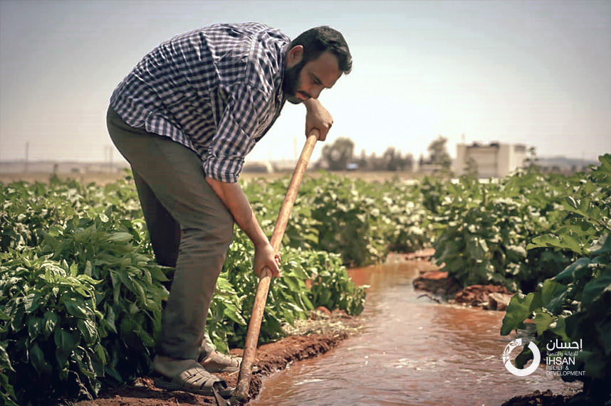 Musab returns to his field