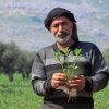Supporting 900 Farmers in Northwest Syria with Seeds and Training to Enhance Food Production